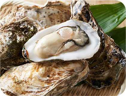「海のミルク」と呼ばれ、昔から元気の源として食されてきた牡蠣エキスを配合