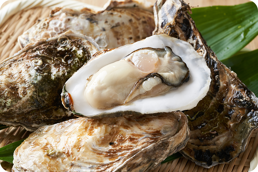 「海のミルク」と呼ばれ、昔から元気の源として食されてきた牡蠣エキスを配合