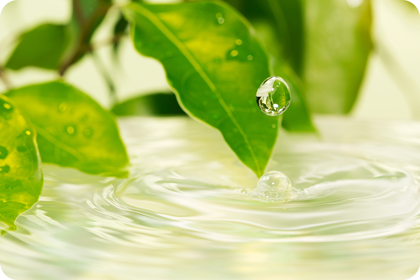 植物性のエモリエント成分