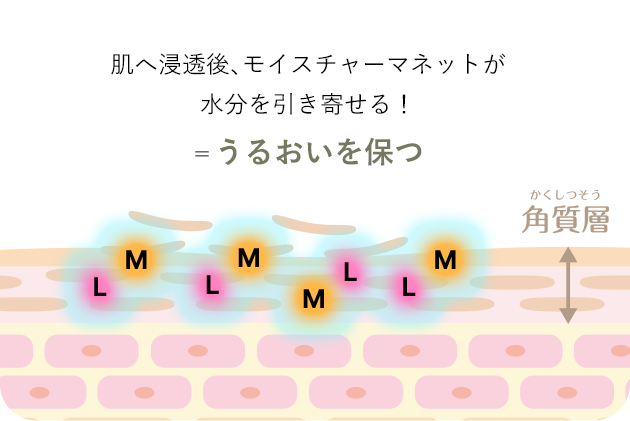 肌にとどまり水分を引き寄せる保湿成分