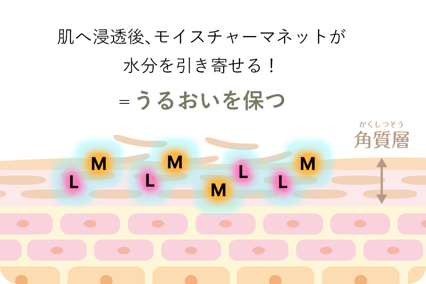 肌にとどまり水分を引き寄せる保湿成分