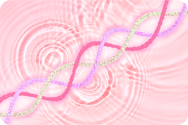 3D潤いハリヴェール