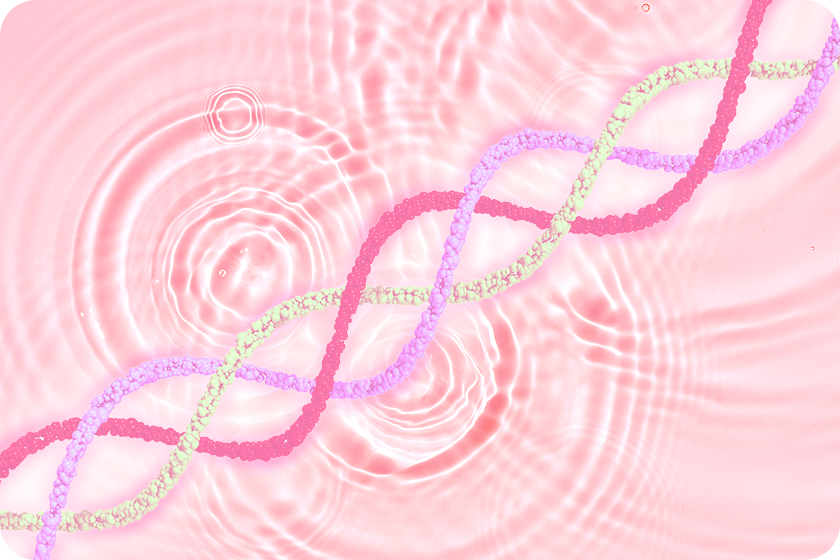 3D潤いハリヴェール