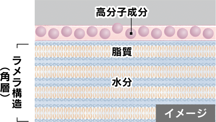 ヒアルロン酸など大きい分子の成分は浸透しにくい