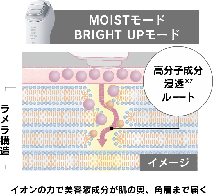 イオンの力で美容液成分が肌の奥、角層まで届く