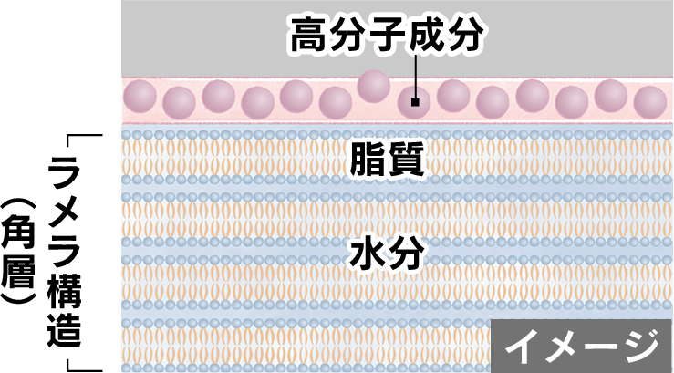 ヒアルロン酸など大きい分子の成分は浸透しにくい