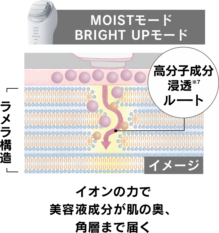 イオンの力で美容液成分が肌の奥、角層まで届く