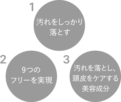 1.汚れをしっかり落とす 2.9つのフリーを実現 3. 汚れを落とし、頭皮をケアする美容成分