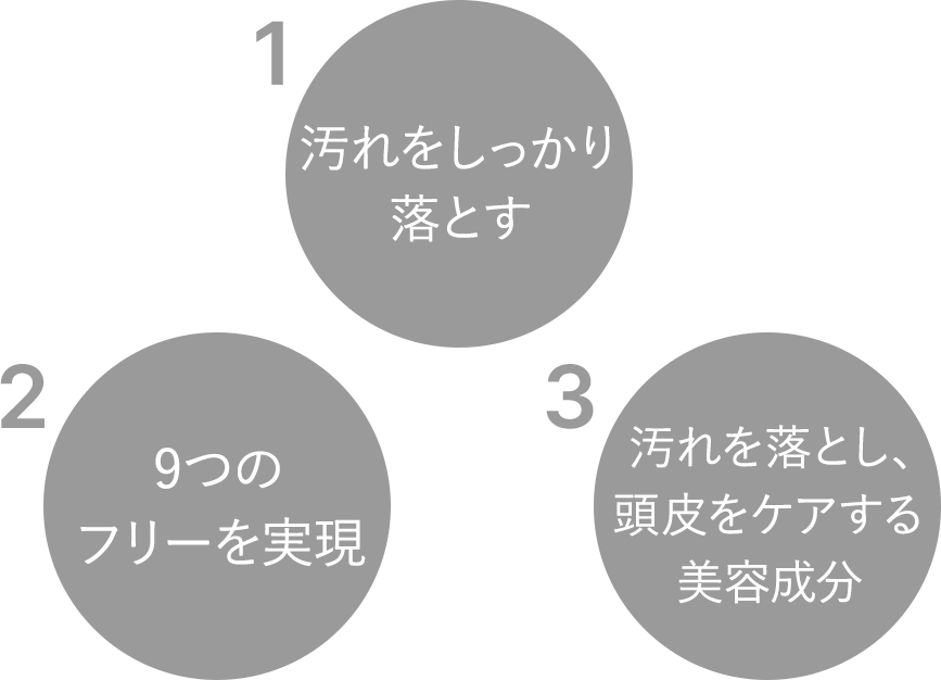 1.汚れをしっかり落とす 2.9つのフリーを実現 3. 汚れを落とし、頭皮をケアする美容成分