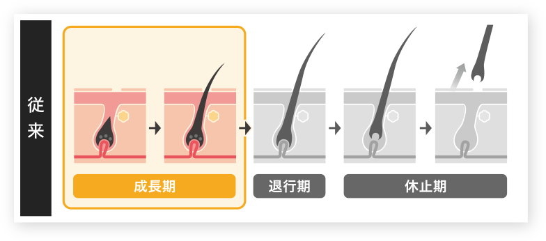 従来のまつ毛美容液は成長期に対して作られていた