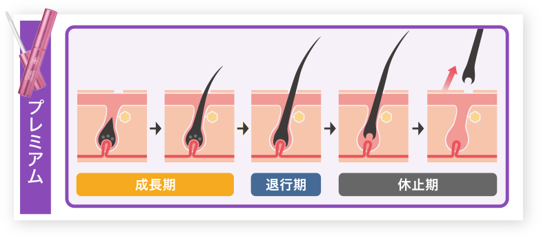 湘南美容まつ毛美容液プレミアムはすべての毛周期に細胞が働きかける