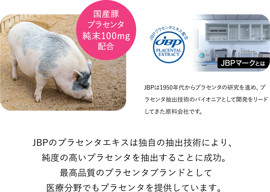 国産豚プラセンタ純末100mg配合 JBPマークとは JBPは1950年代からプラセンタの研究を進め、プラセンタ抽出技術のパイオニアとして開発をリードしてきた原料会社です。