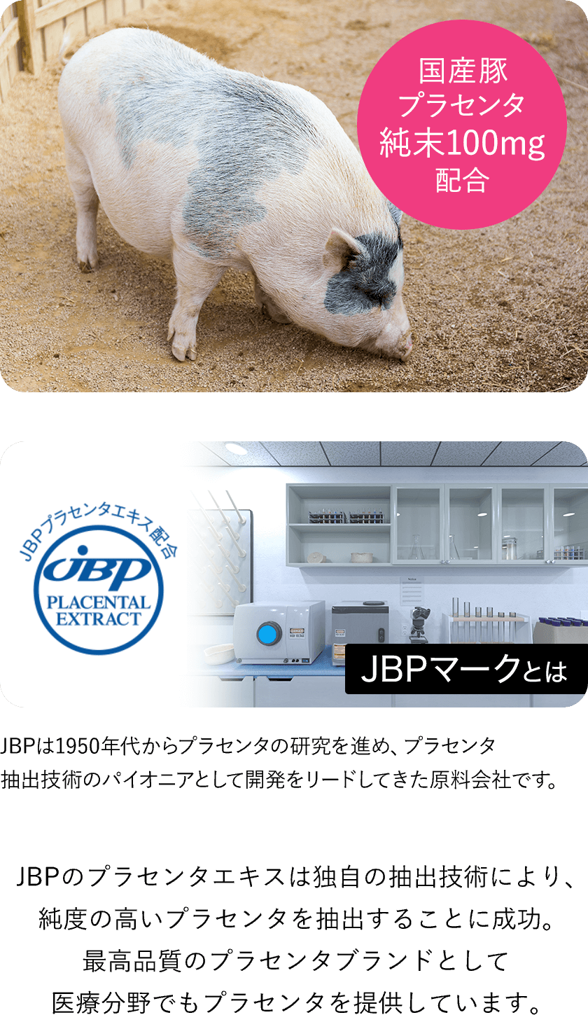 国産豚プラセンタ純末100mg配合 JBPマークとは JBPは1950年代からプラセンタの研究を進め、プラセンタ抽出技術のパイオニアとして開発をリードしてきた原料会社です。