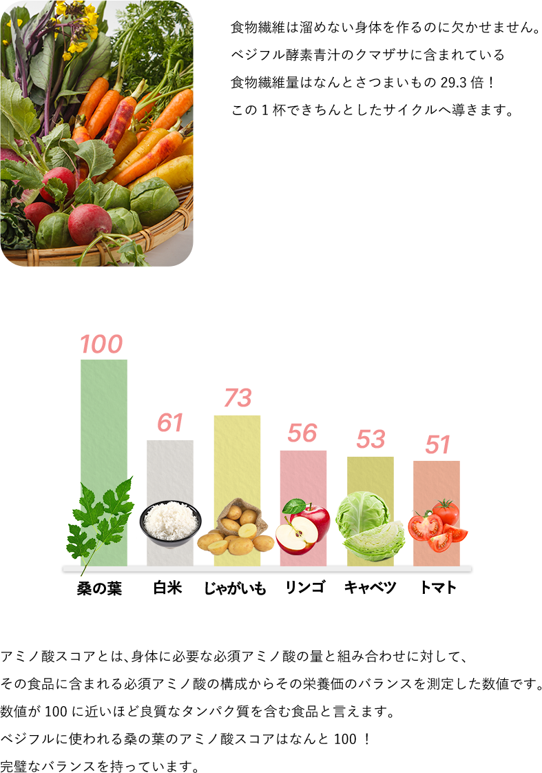 食物繊維は溜めない身体を作るのに欠かせません。ベジフル酵素青汁のクマザサに含まれている食物繊維量はなんとさつまいもの29.3倍！この1杯できちんとしたサイクルへ導きます。