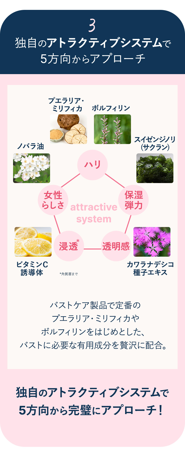 独自のアトラクティブシステムで5方向からアプローチ