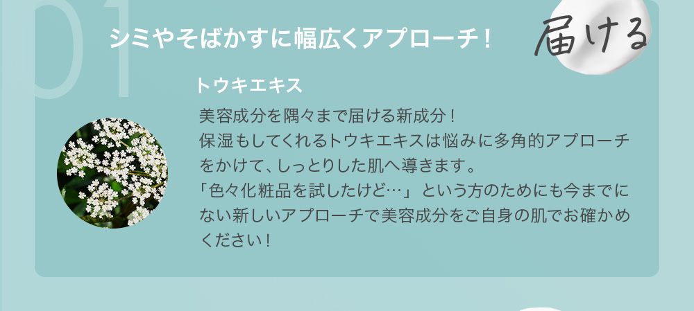 01 届ける シミやそばかすに幅広くアプローチ! トウキエキス