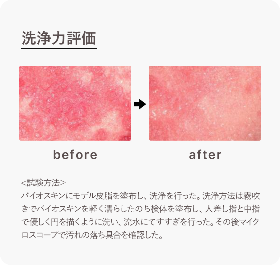 洗浄力評価