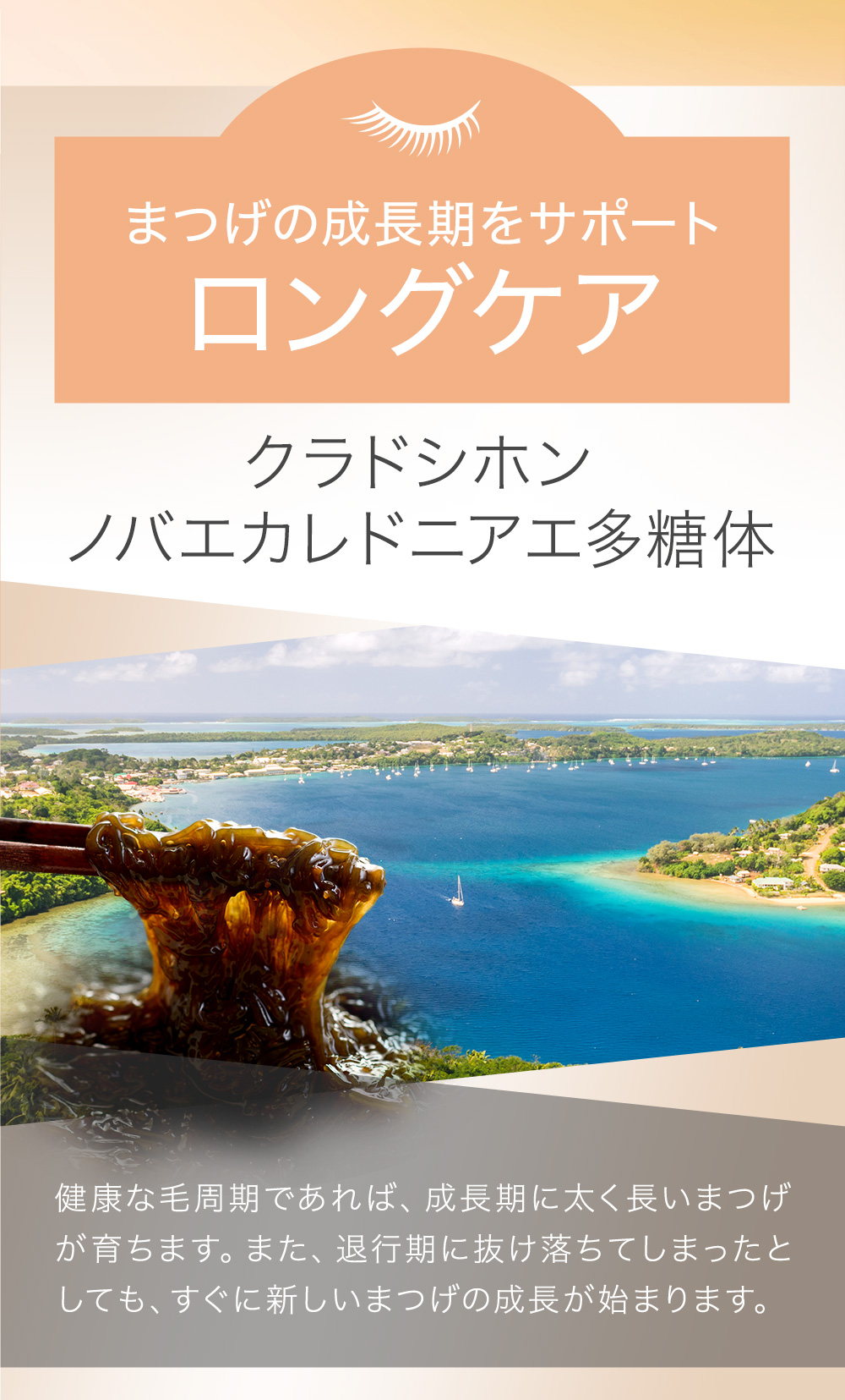 クラドシホンノバエカレドニアエ多糖体