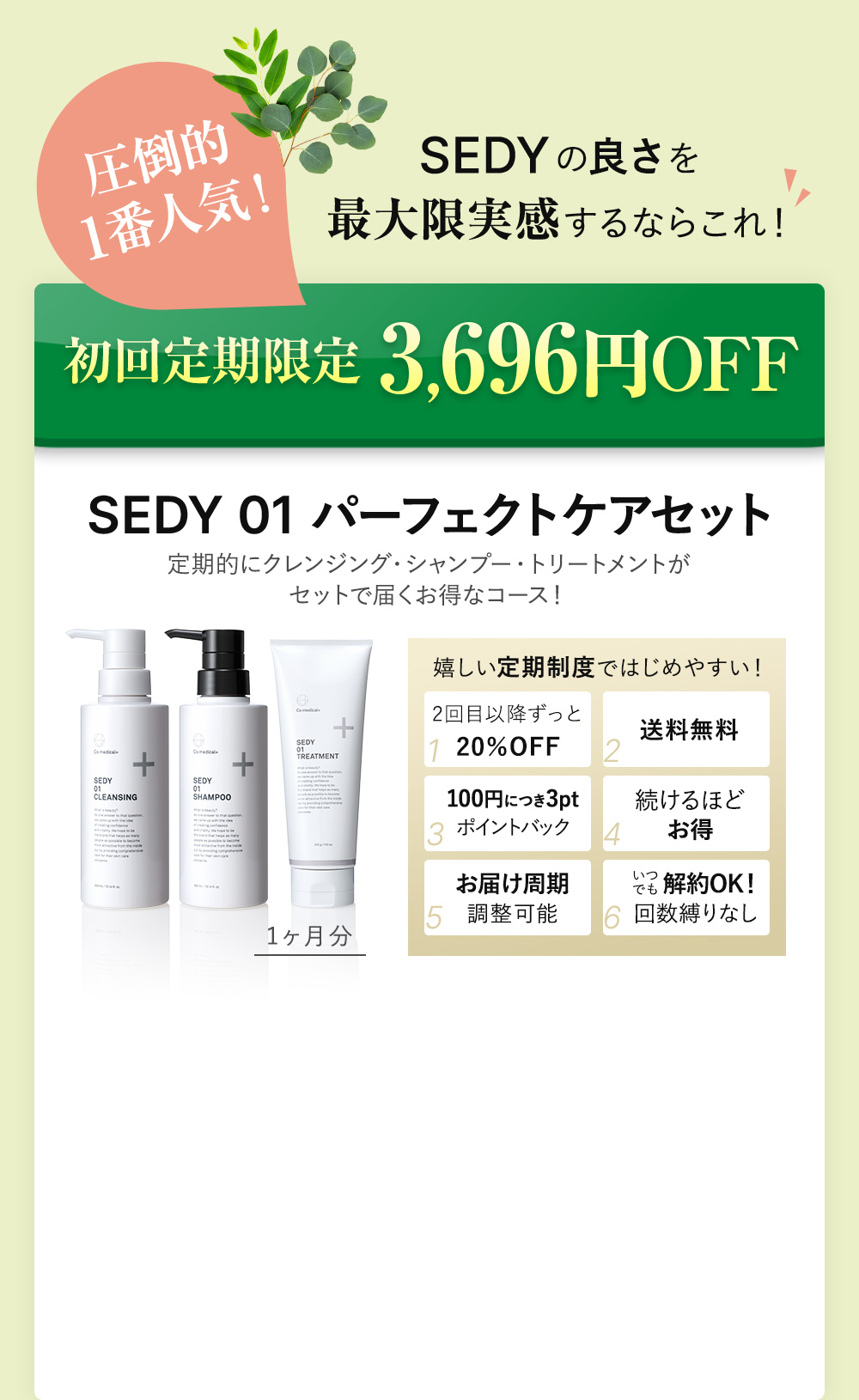 圧倒的1番人気！初回定期限定36％OFF SEDY01 パーフェクトケアセット