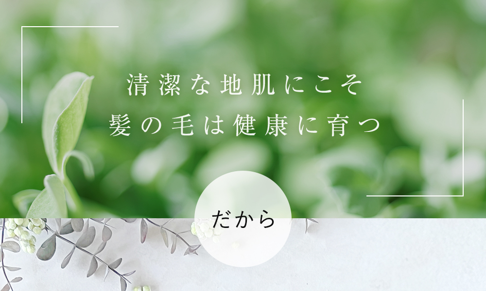 清潔な地肌にこそ髪の毛は健康に育つ