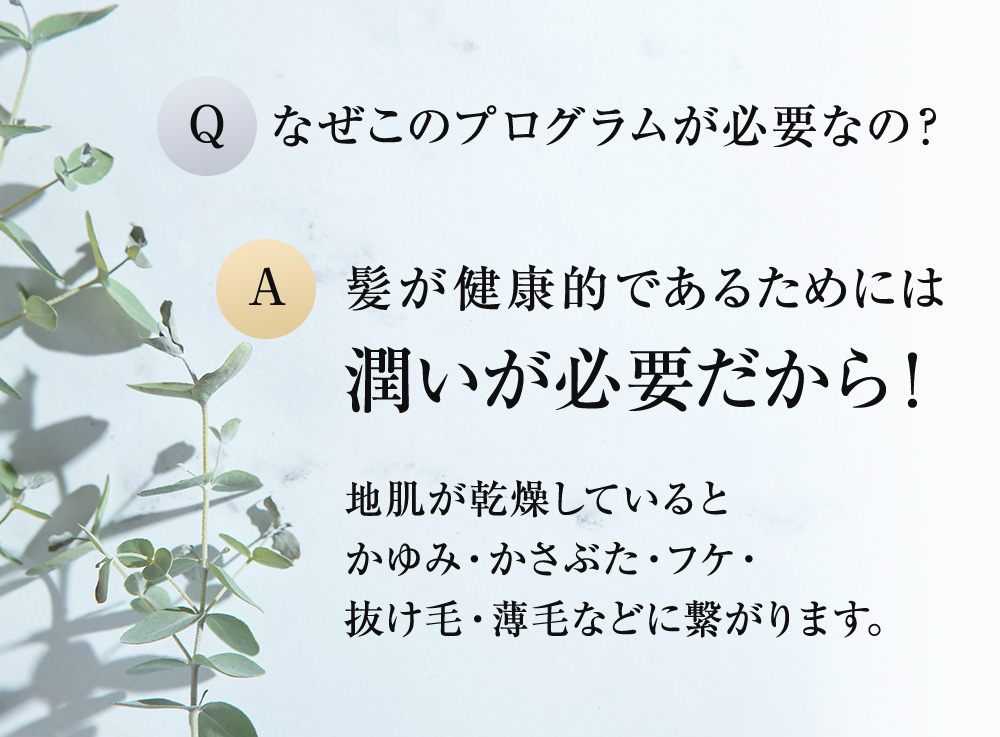 なぜこのプログラムが必要なの？髪が健康的であるためには潤いが必要だから！