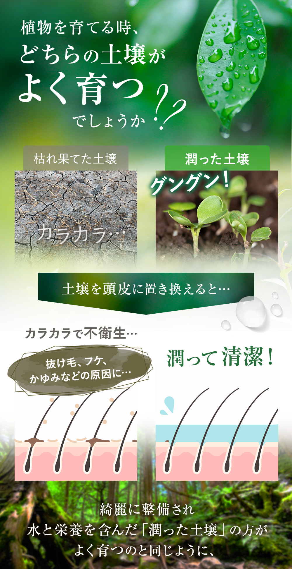 植物を育てる時、どちらの土壌がどちらの土壌がよく育つでしょうか？綺麗に整備され水と栄養を含んだ「潤った土壌」の方がよく育つのと同じように、