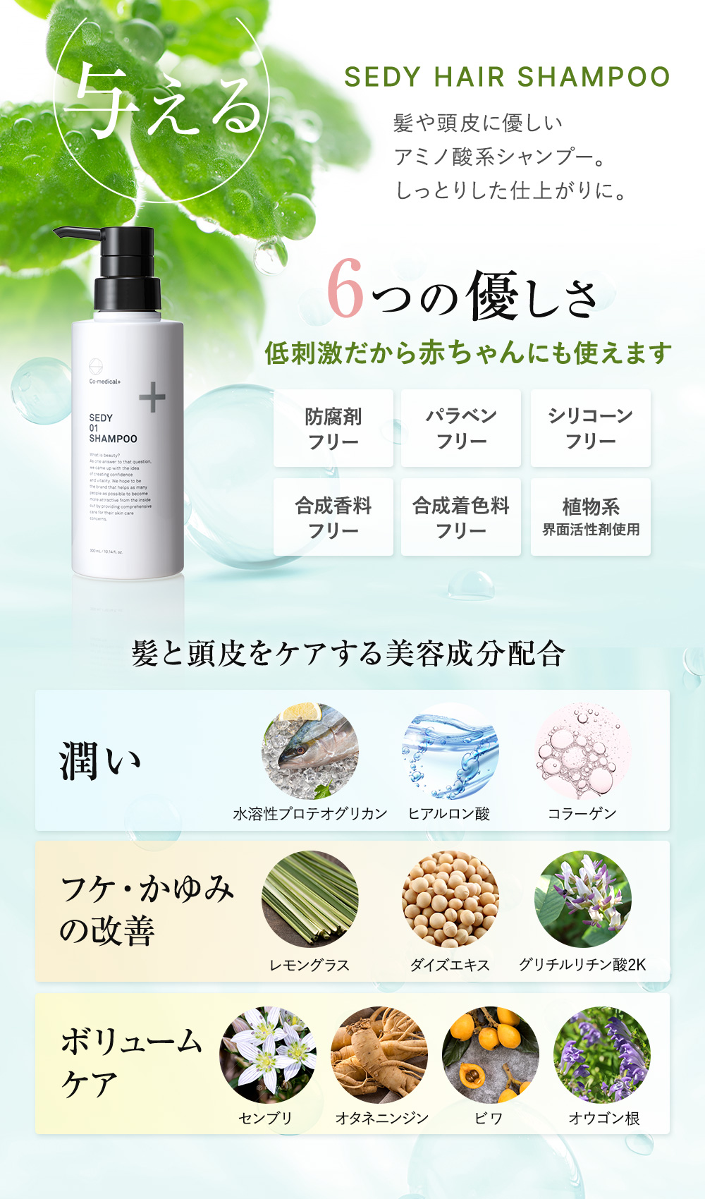 SEDY HAIR SHAMPOO 髪や頭皮に優しいアミノ酸系シャンプー。しっとりした仕上がりに。6つの優しさ 低刺激だから赤ちゃんにも使えます