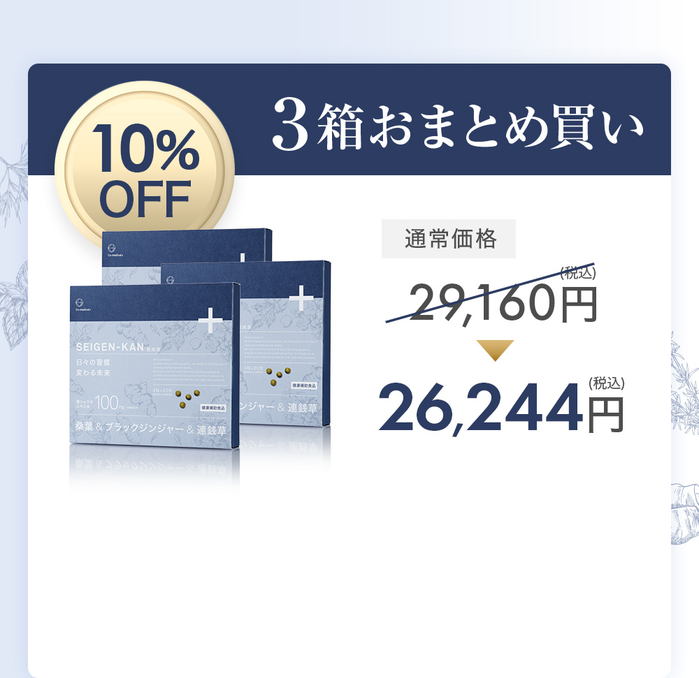 ３箱おまとめ買い10%OFF 26,244円（税込）