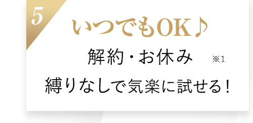 5.いつでもOK♪解約・お休み、縛りなしで気楽に試せる！