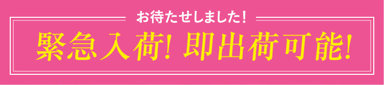 お待たせしました！緊急入荷！ 即出荷可能！