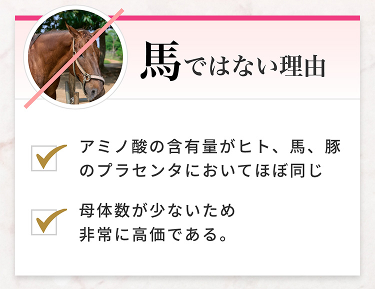 馬ではない理由　✓アミノ酸の含有量がヒト、馬、豚のプラセンタにおいてほぼ同じ　✓母体数が少ないため非常に高価である。