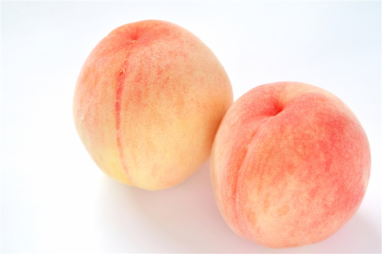 こんなきれいな乳輪が男性は好き 理想の色や大きさは Co Medical 公式サイト シーオーメディカル 化粧品 美容通販