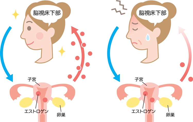 更年期に乳首が痛いと感じることがある 原因は Co Medical 公式サイト シーオーメディカル 化粧品 美容通販