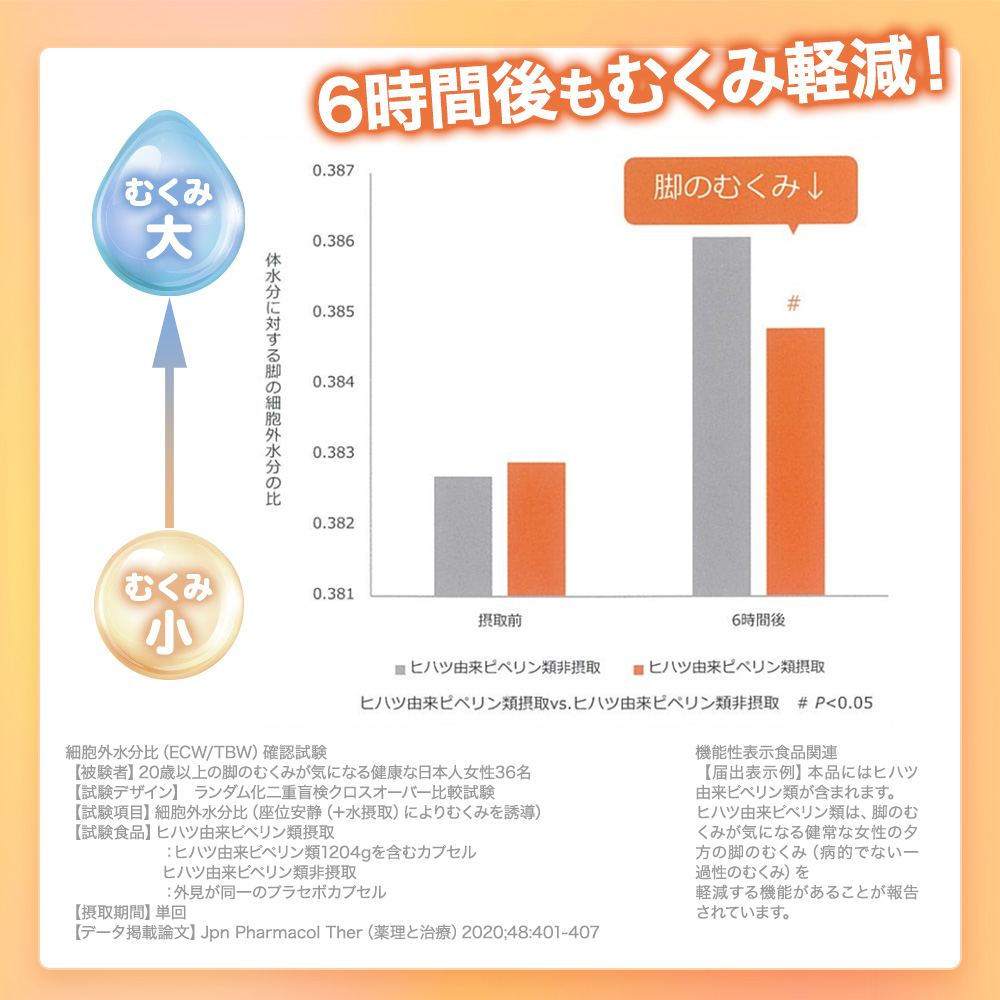 CO ホスピレッグ