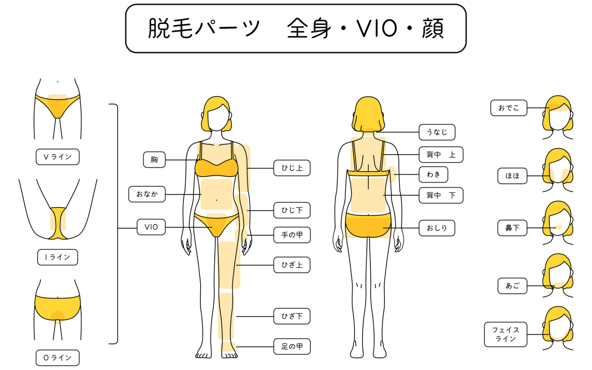 医療脱毛の価格相場とは？